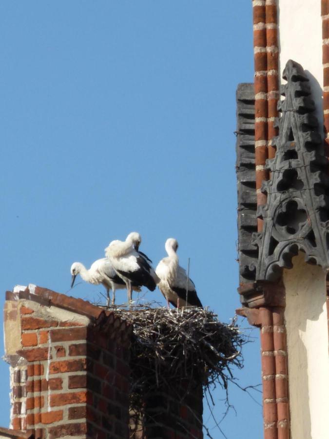 Pension&Ferienwohnung Zum Schmuckgiebel Tangermünde Exterior foto